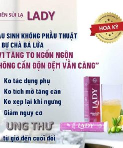vien-sui-lady-ho-tro-tang-vong-1-2